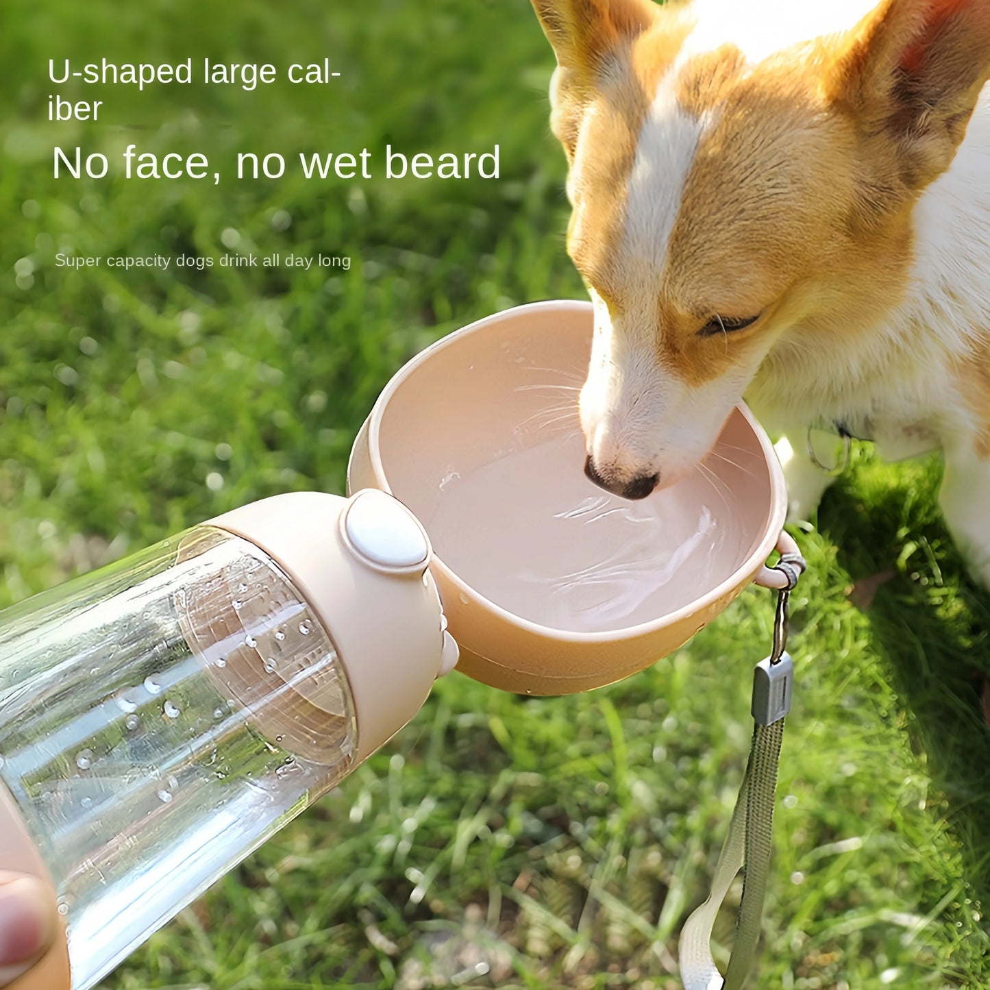 PawPort Bottle